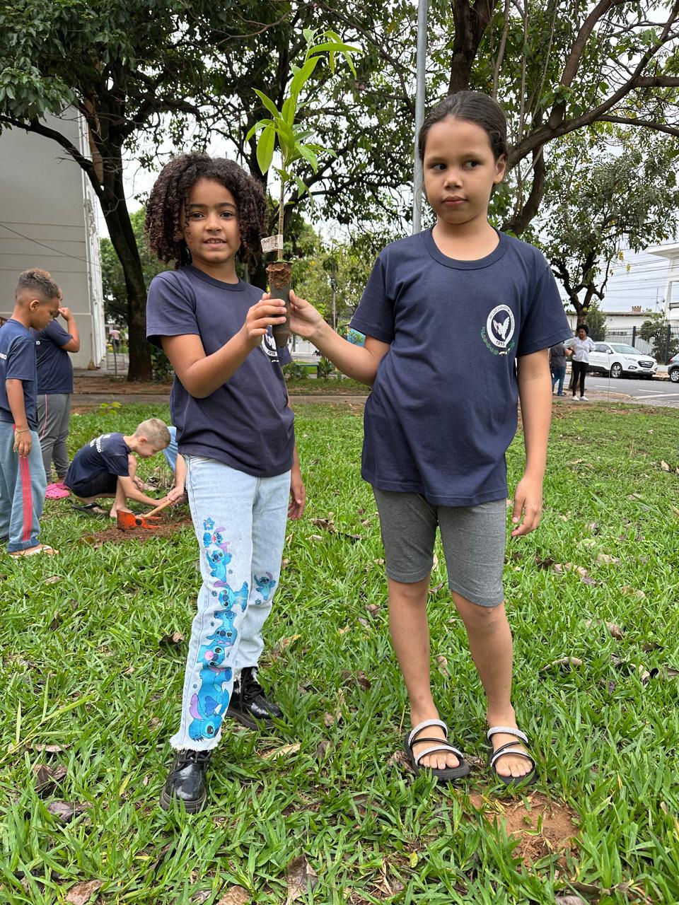 Fotos da Notícia 
