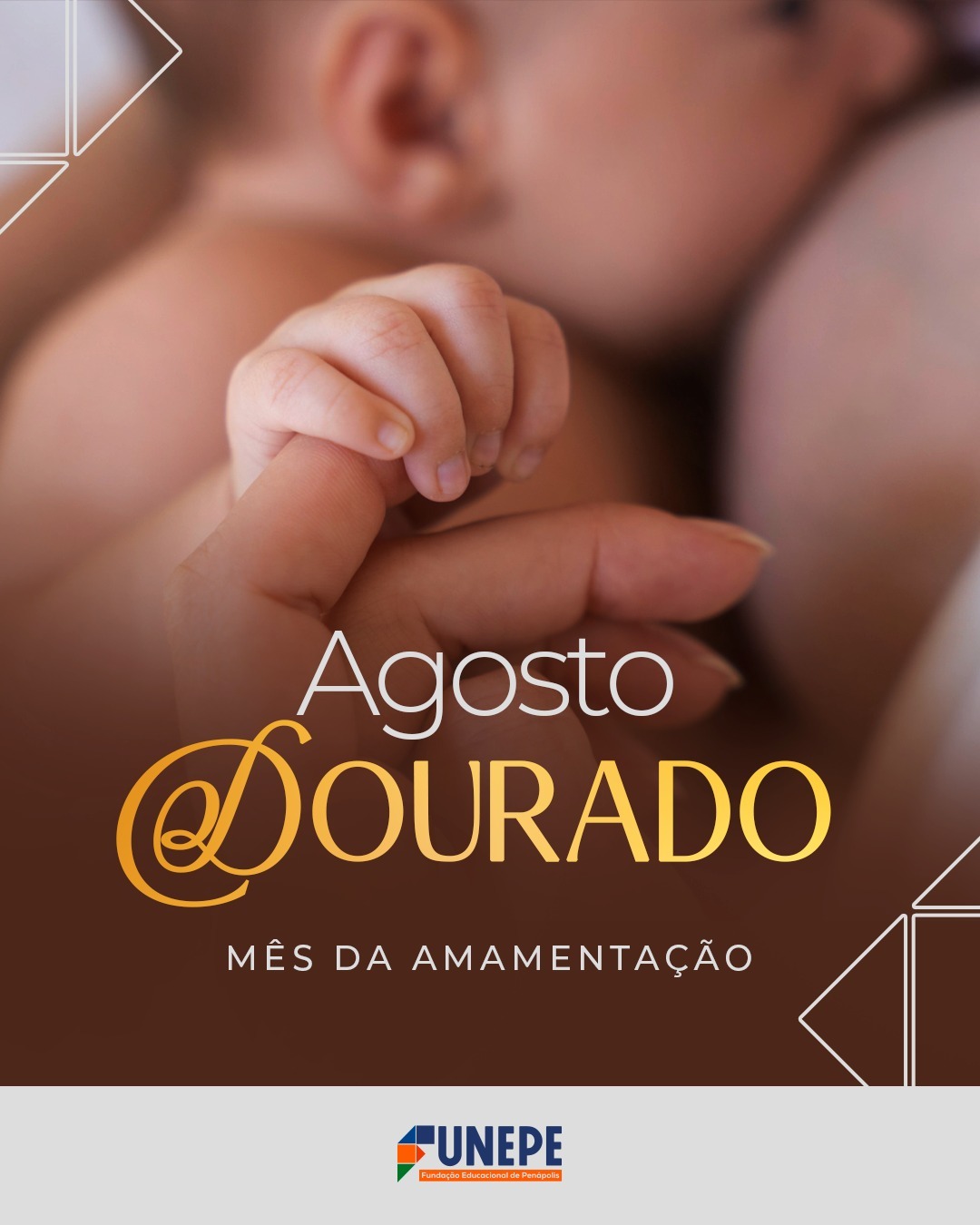 Fotos da Notícia 