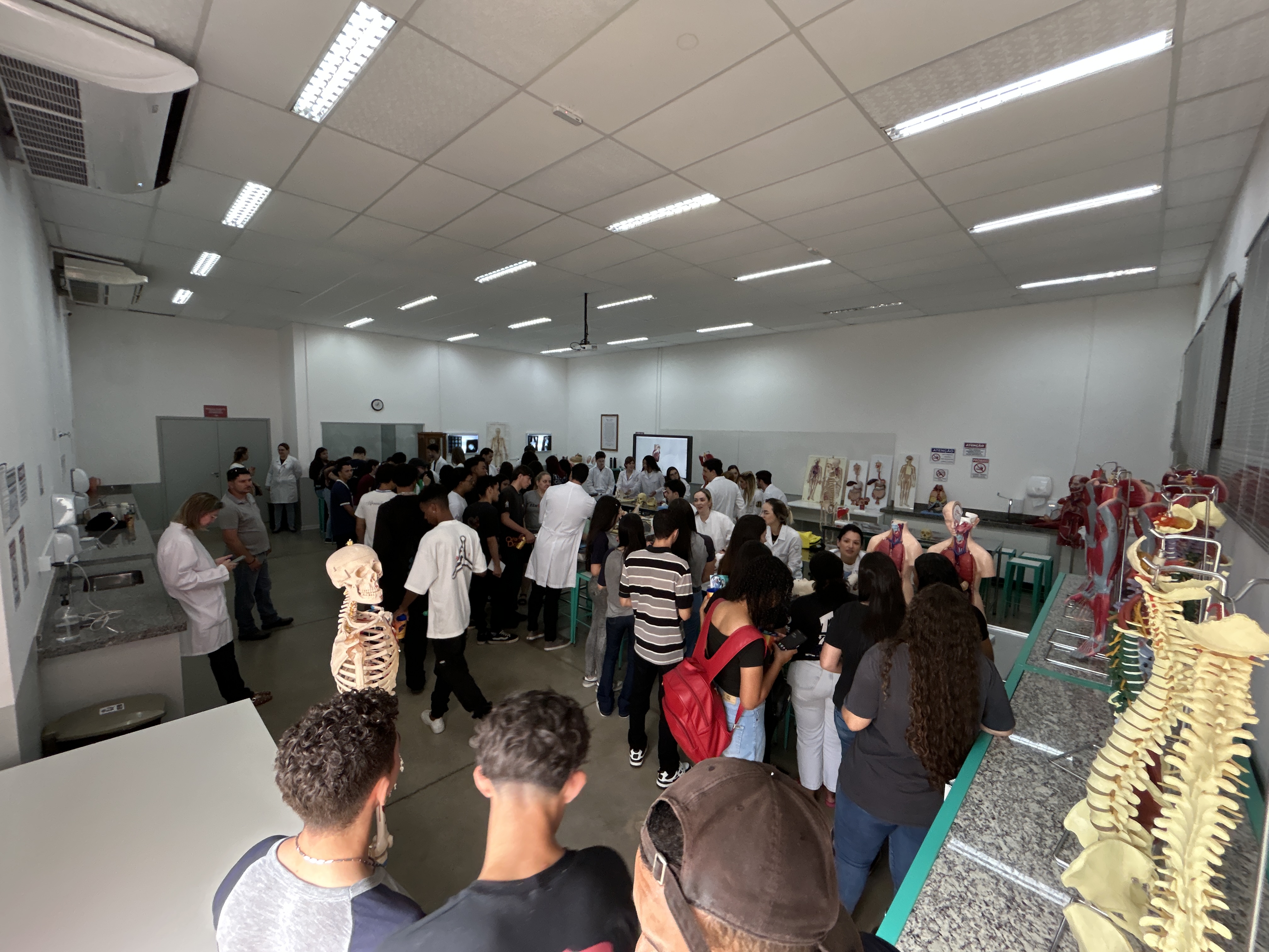 Fotos da Notícia 