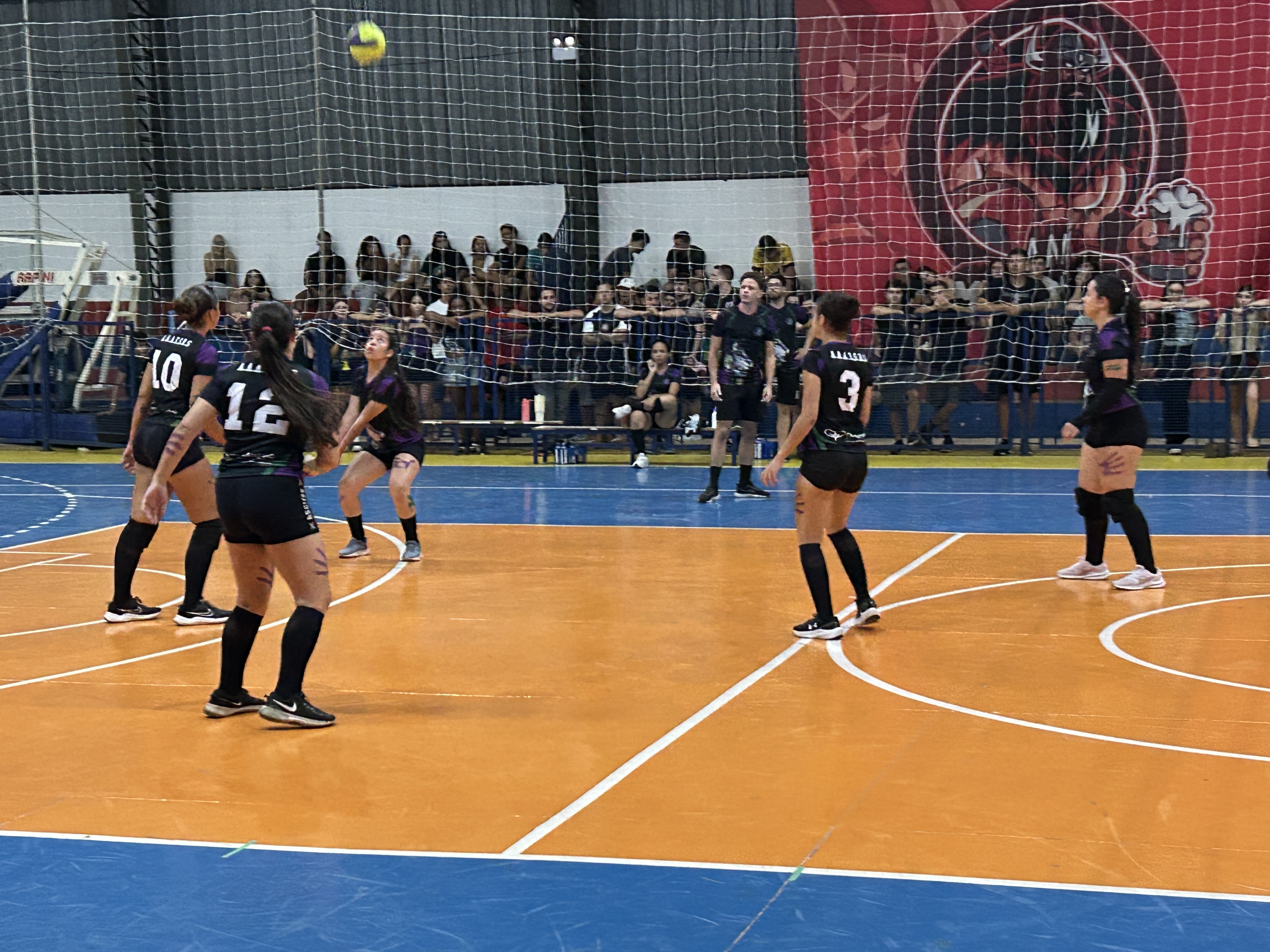 Fotos da Notícia 