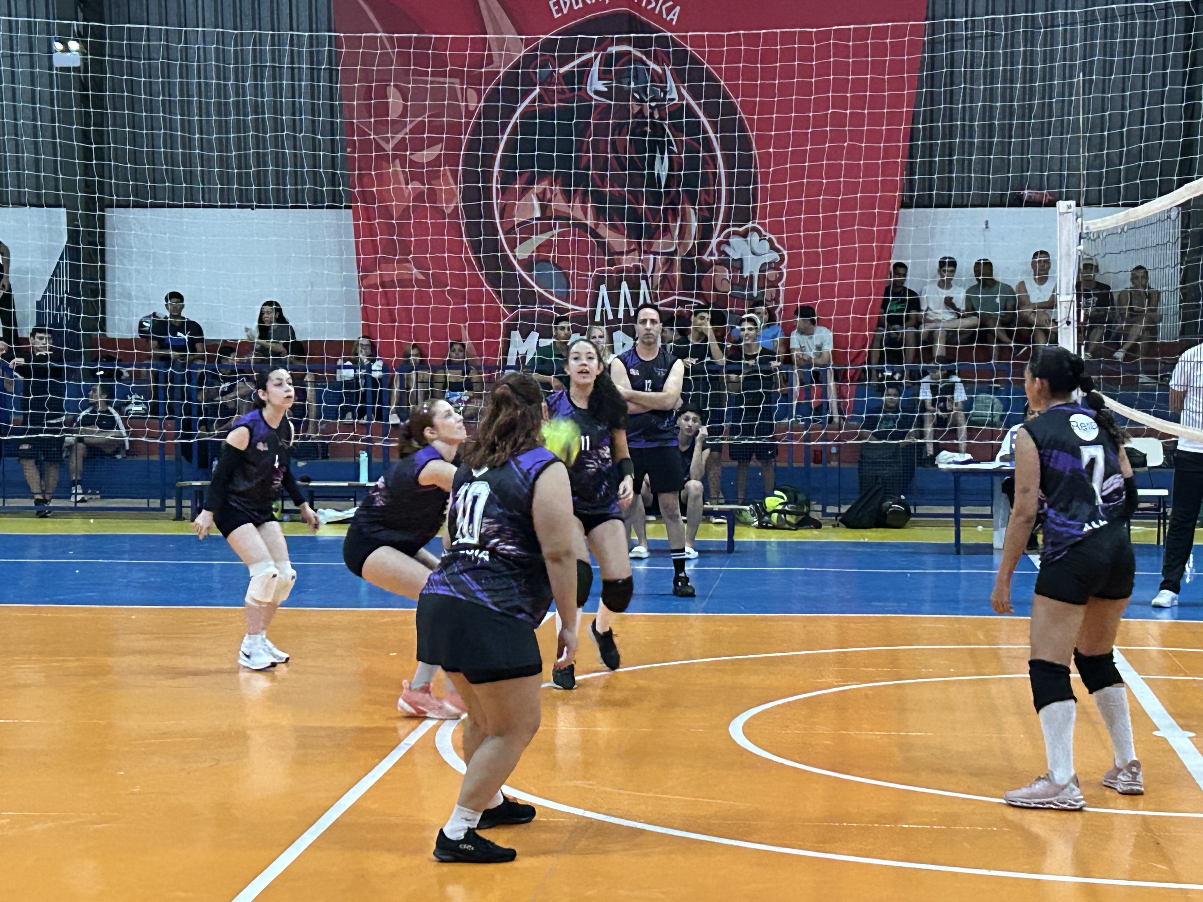 Fotos da Notícia 