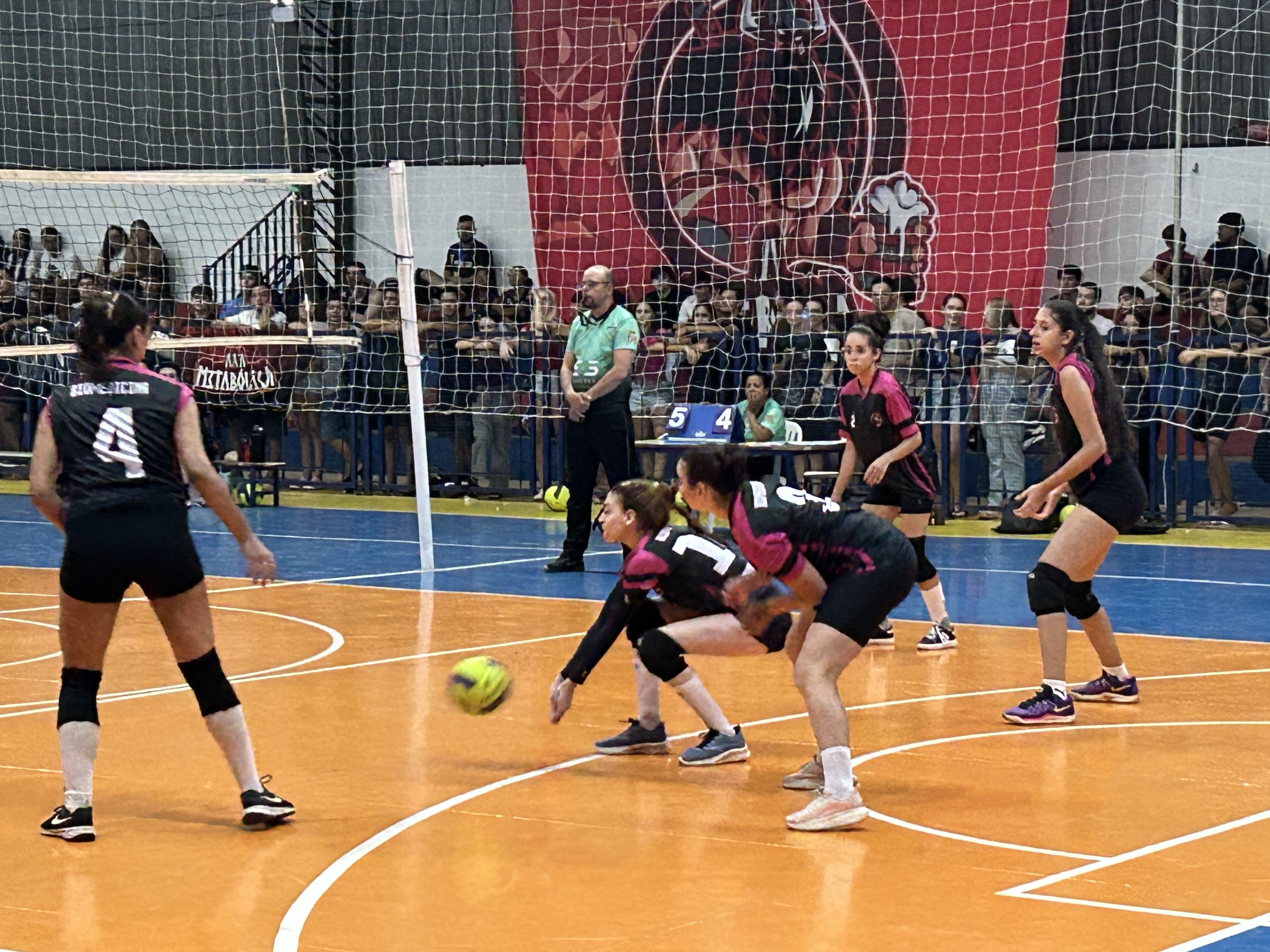 Fotos da Notícia 
