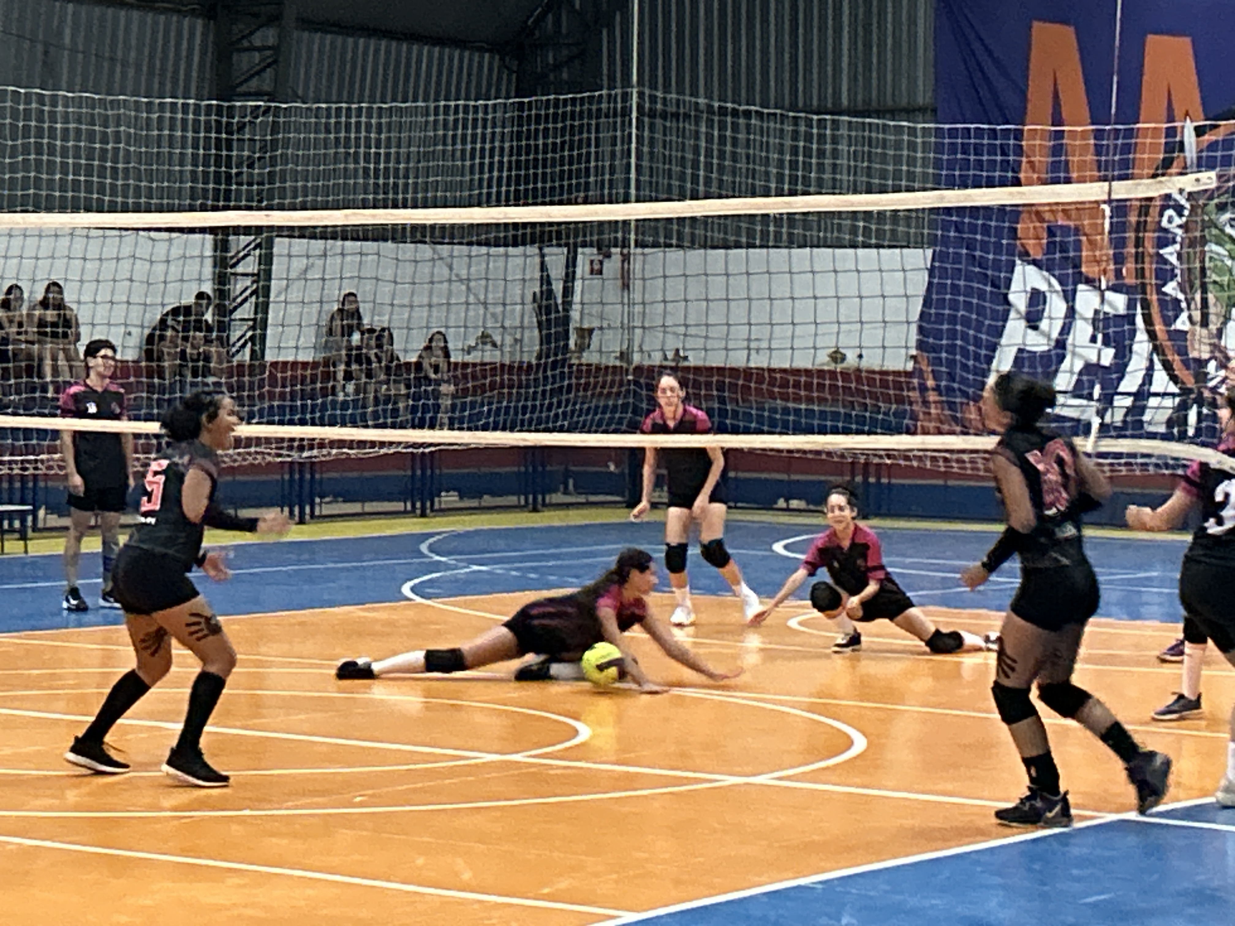 Fotos da Notícia 